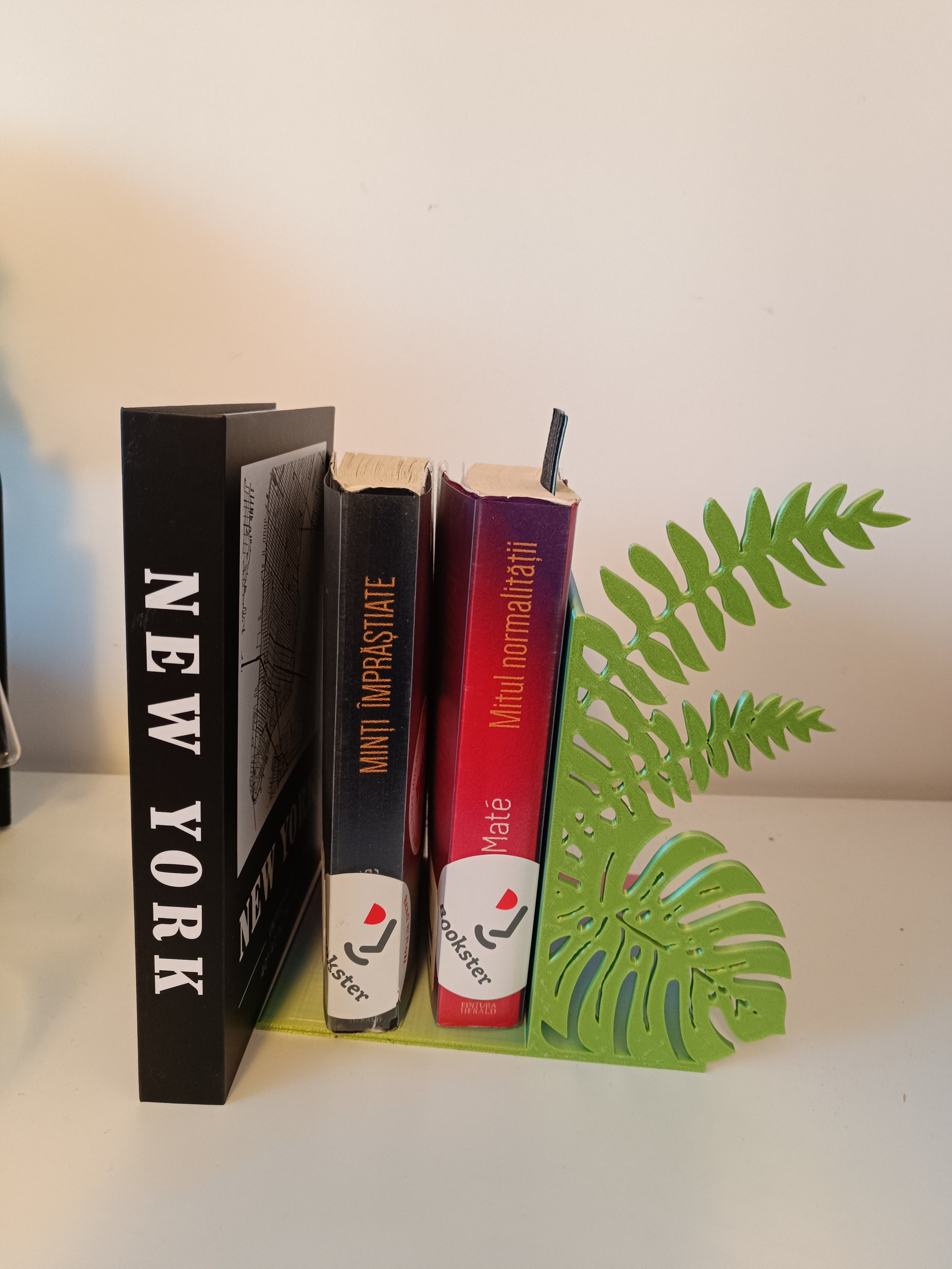 Bookend Monstera